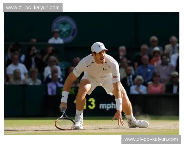 网坛双雄：拉奥尼奇与穆雷的宿命对决，激情与荣耀的冰与火之歌